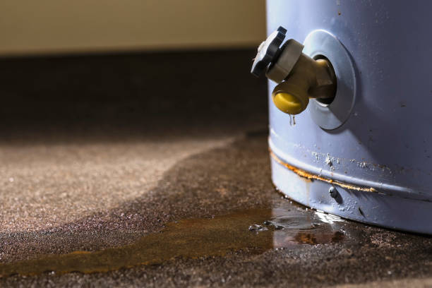 Best Water damage restoration near me  in Langhorne, PA