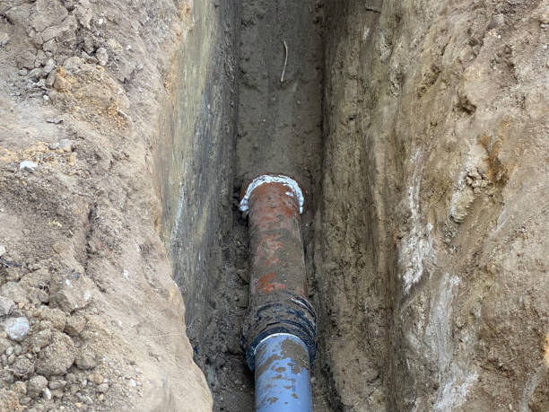 Best Flood restoration services  in Langhorne, PA