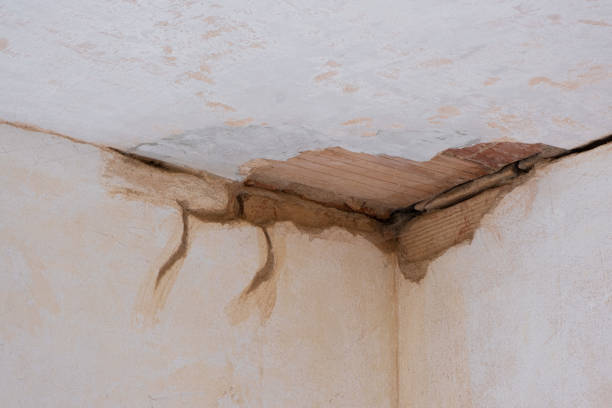 Best 24-hour water damage restoration  in Langhorne, PA