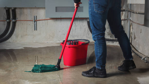 Best Local water damage restoration  in Langhorne, PA