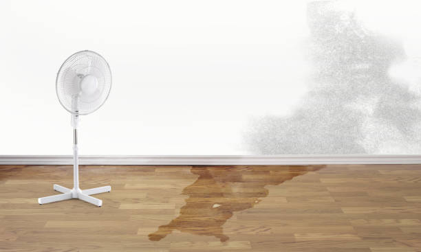 Water damage restoration mold remediation in Langhorne, PA