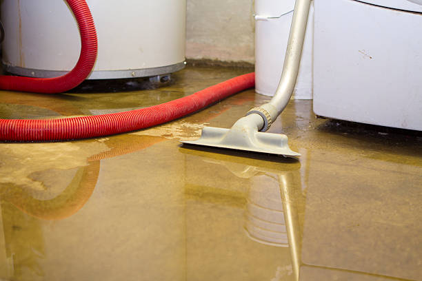Best Professional water damage repair  in Langhorne, PA
