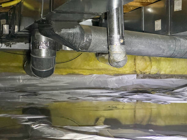 Best Flooded house restoration  in Langhorne, PA